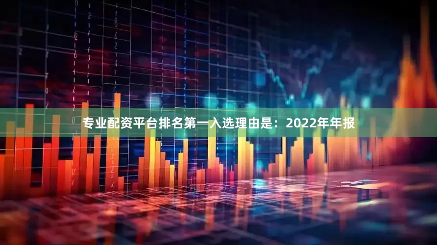 专业配资平台排名第一入选理由是：2022年年报